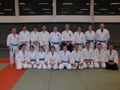 Aikido Erwachsenengruppe 2012.jpg
