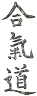 Aikido kanji.png